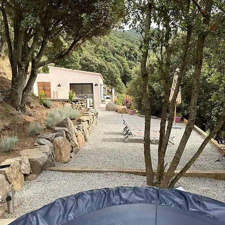 A Casa Vadiiolina - D'hotes D'exception Willa Sollacaro