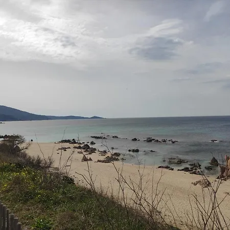 Villaradriimas 2 Ha De Confort Et De Tranquillité Avec Vue Sur La Sollacaro