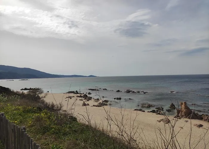 Villaradriimas 2 Ha De Confort Et De Tranquillité Avec Vue Sur La Sollacaro