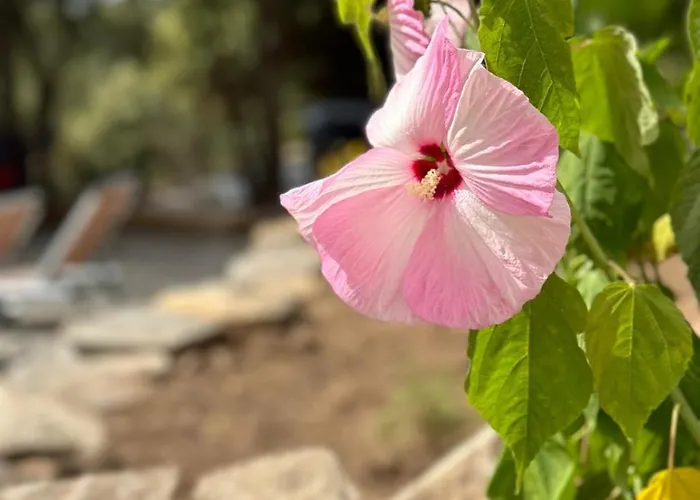 Villaradriimas 2 Ha De Confort Et De Tranquillité Avec Vue Sur La *